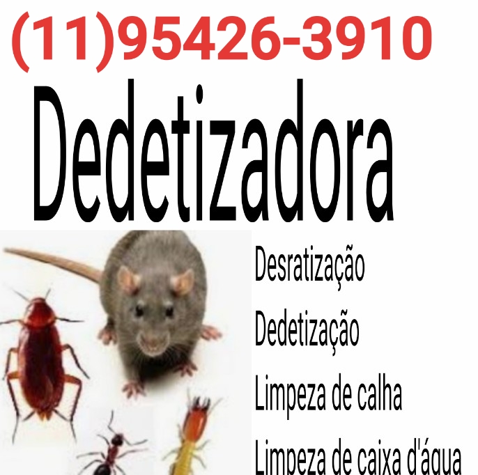Dedetizadora itaquera