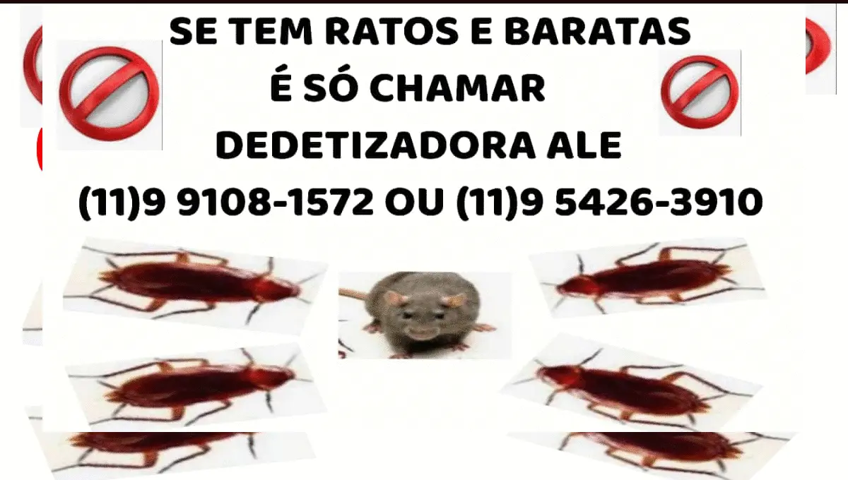 limpeza de calhas